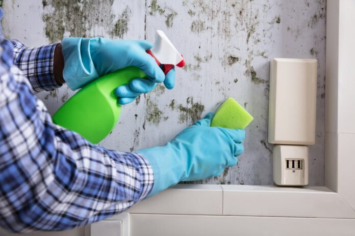 mould prevention Sydney