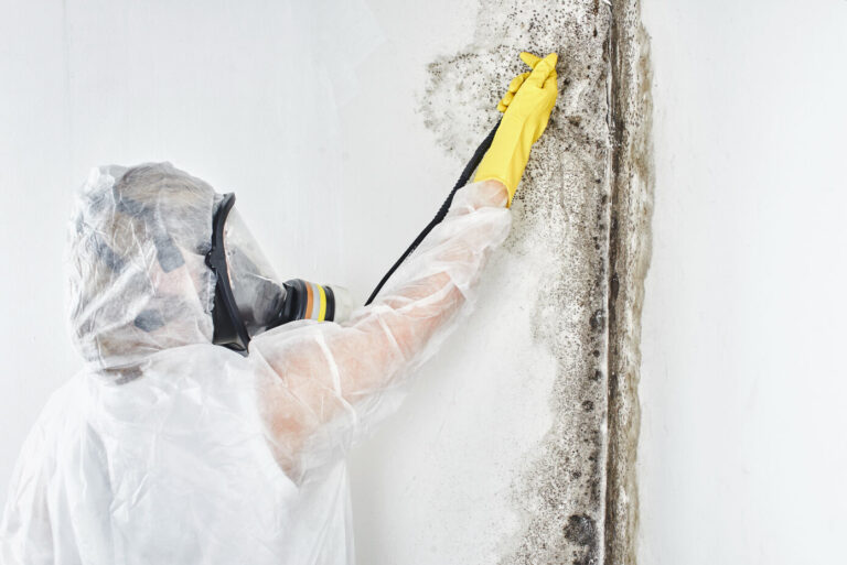 mould treatment Sydney