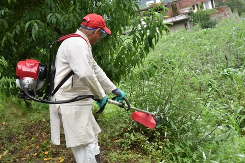  Honda brushcutters Brisbane
